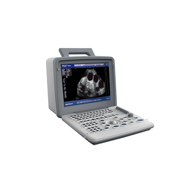 Veterinary Ultrasound