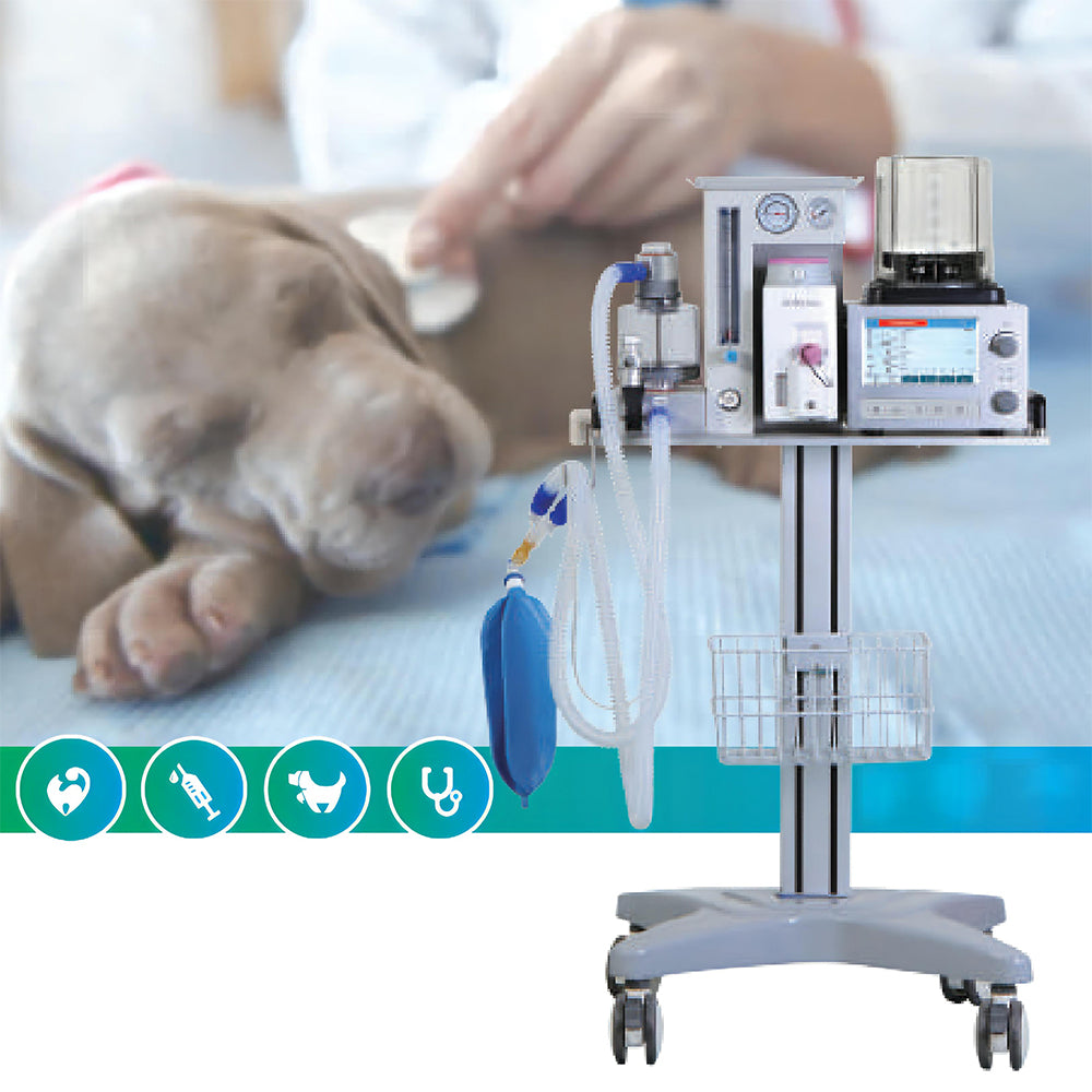 Veterinary Anesthesia Machine-DM6B