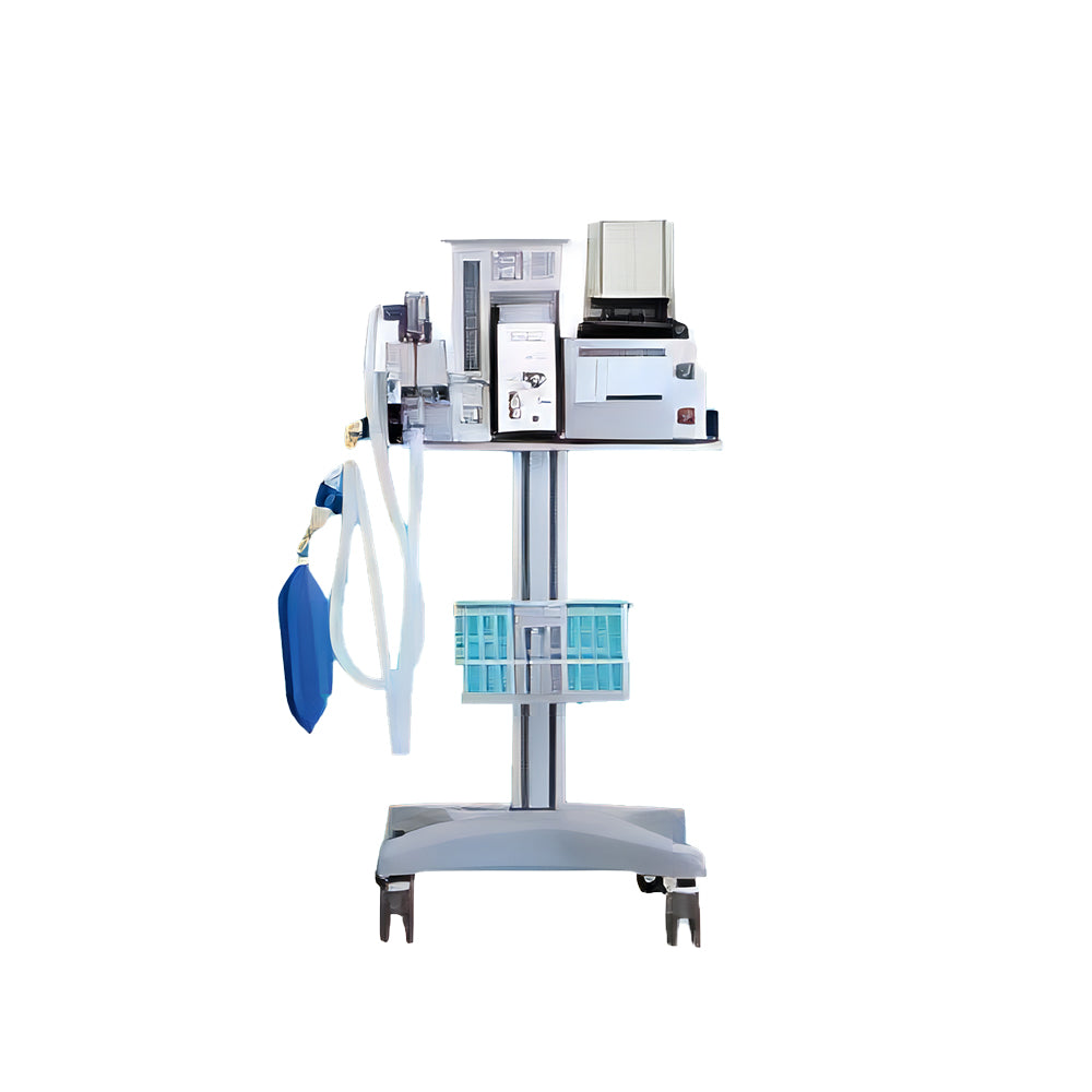 Veterinary Anesthesia Machine-DM6B