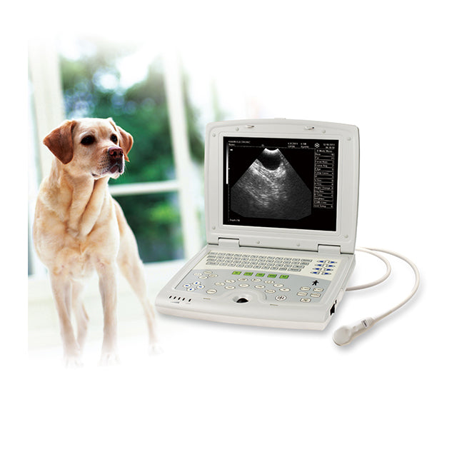 Veterinary Ultrasound-KX5000